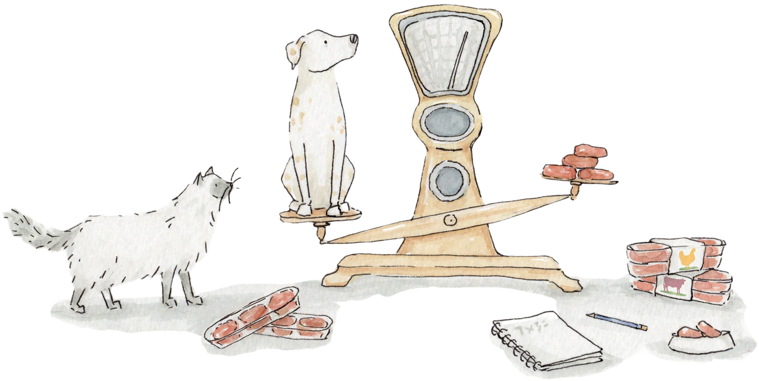 Raw Feeding Made Simple